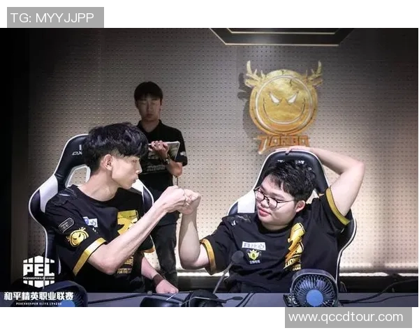 和平精英赛场上RNG反击策略的成败分析与启示